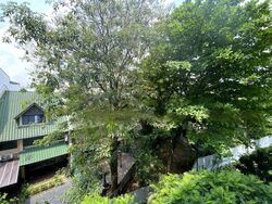 38 Jervois (D10), Apartment #604869561